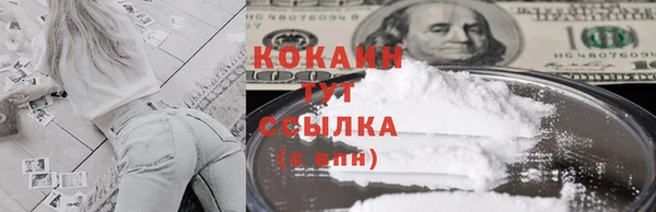 индика Балабаново