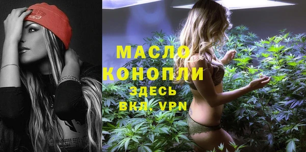 индика Балабаново