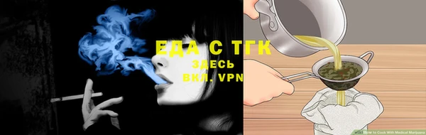 индика Балабаново
