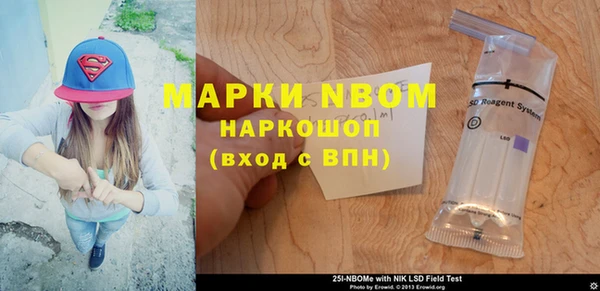 индика Балабаново