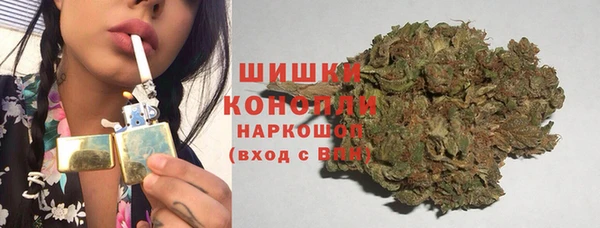 прущий лед Новозыбков
